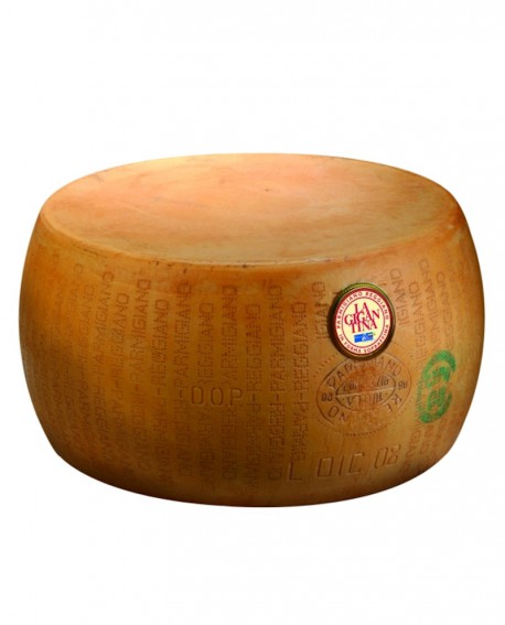 Forma intera Parmigiano Reggiano La Gigantina 28-30 mesi - 38-40 kg - Montanari & Gruzza